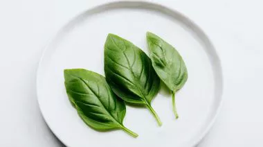 garnishing-instructions-image